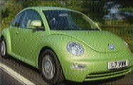 New Bug