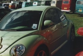 A New Beetle