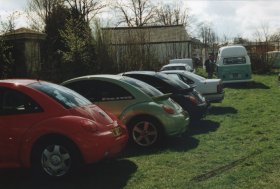 A New Beetle