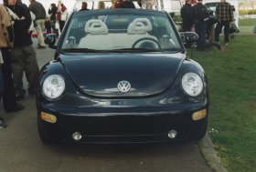 A New Beetle