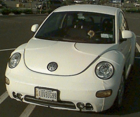 A New Beetle