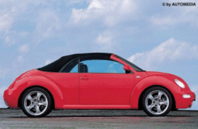 A New Beetle
