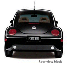 A New Beetle