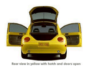 A New Beetle
